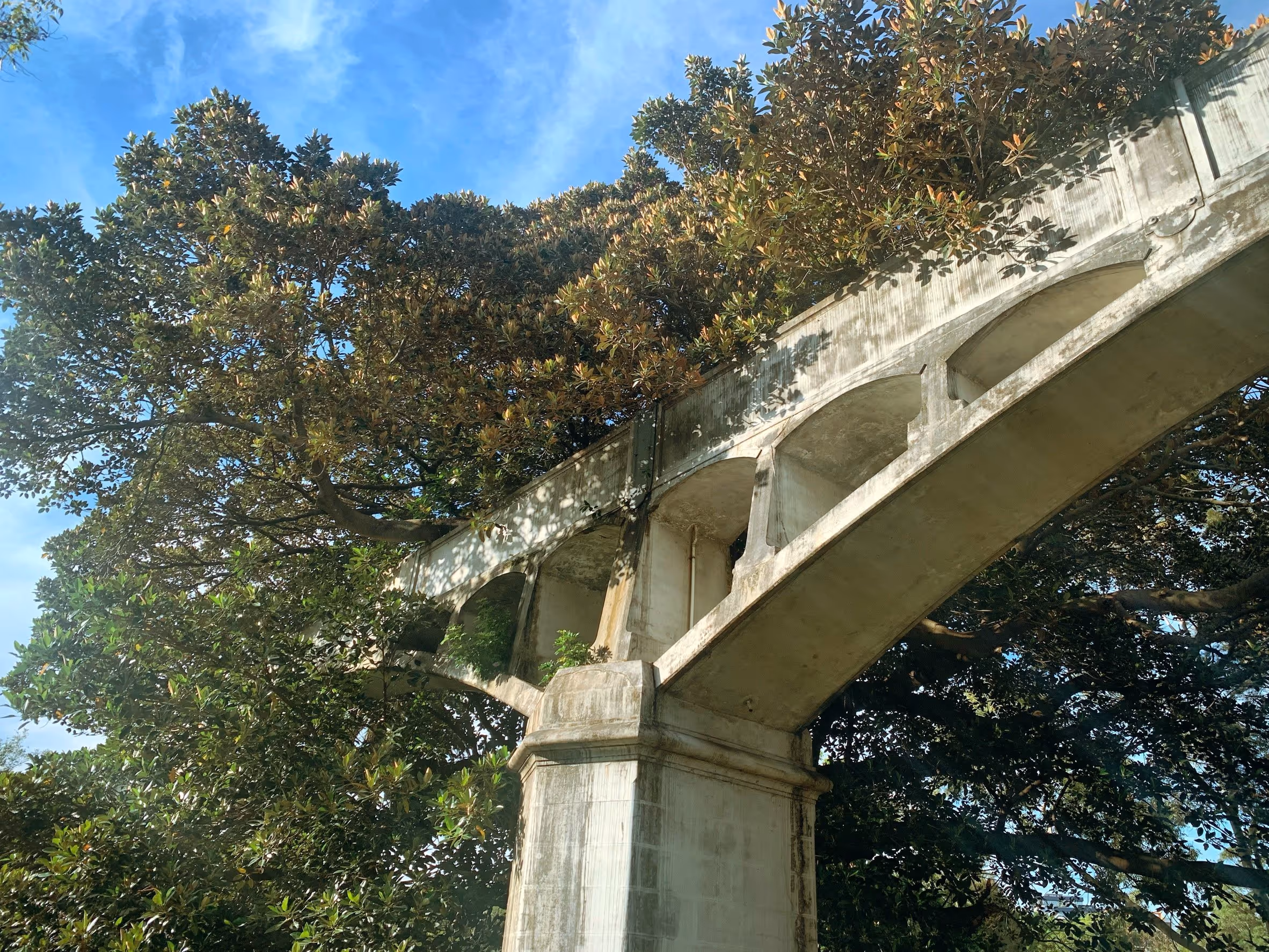 The Johnstone's Creek Aqueduct, Sydney