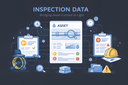 Inspection data illutration