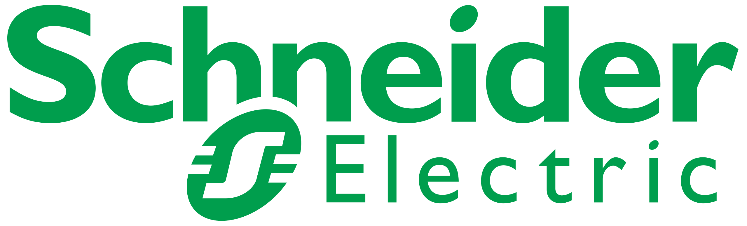 Schneider Electric Logo