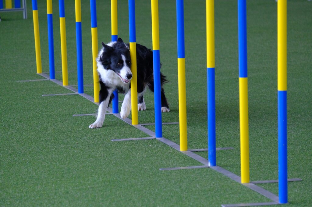 image of various before and after service photographs (for a cleaning service)