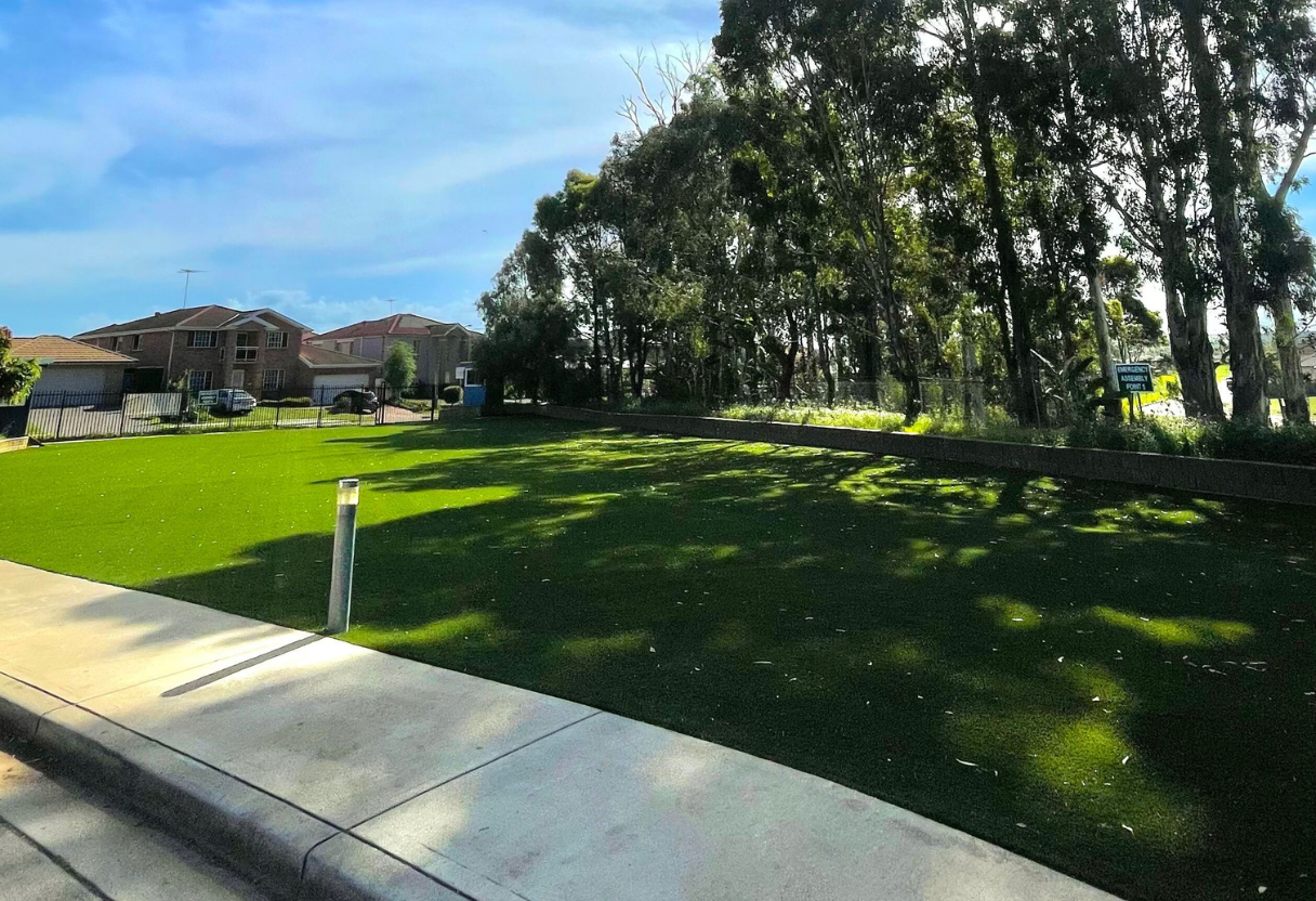 [background image] landscape of school campus