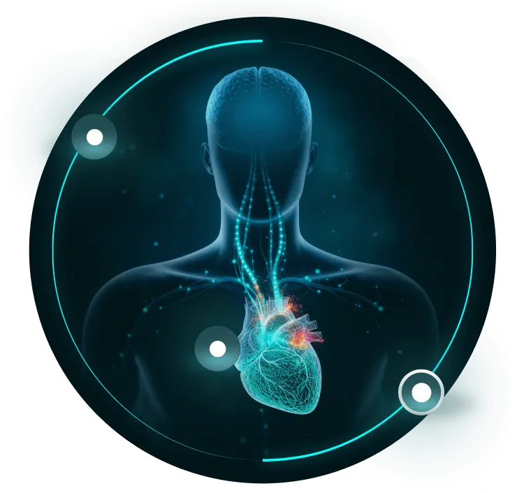 Digital illustration of a human upper body silhouette showing a glowing heart with neural pathways extending to the head.