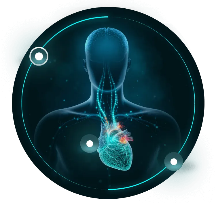 Digital visualization of a human upper body with brain and heart connected by glowing neural pathways.