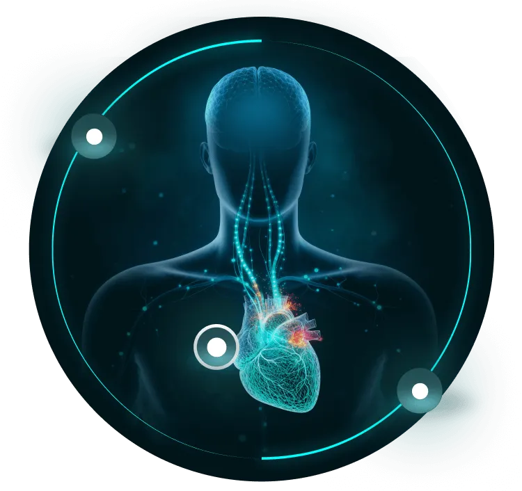 Digital illustration of a human upper body with emphasis on the heart and nervous pathways, highlighted with glowing blue and red neural connections.