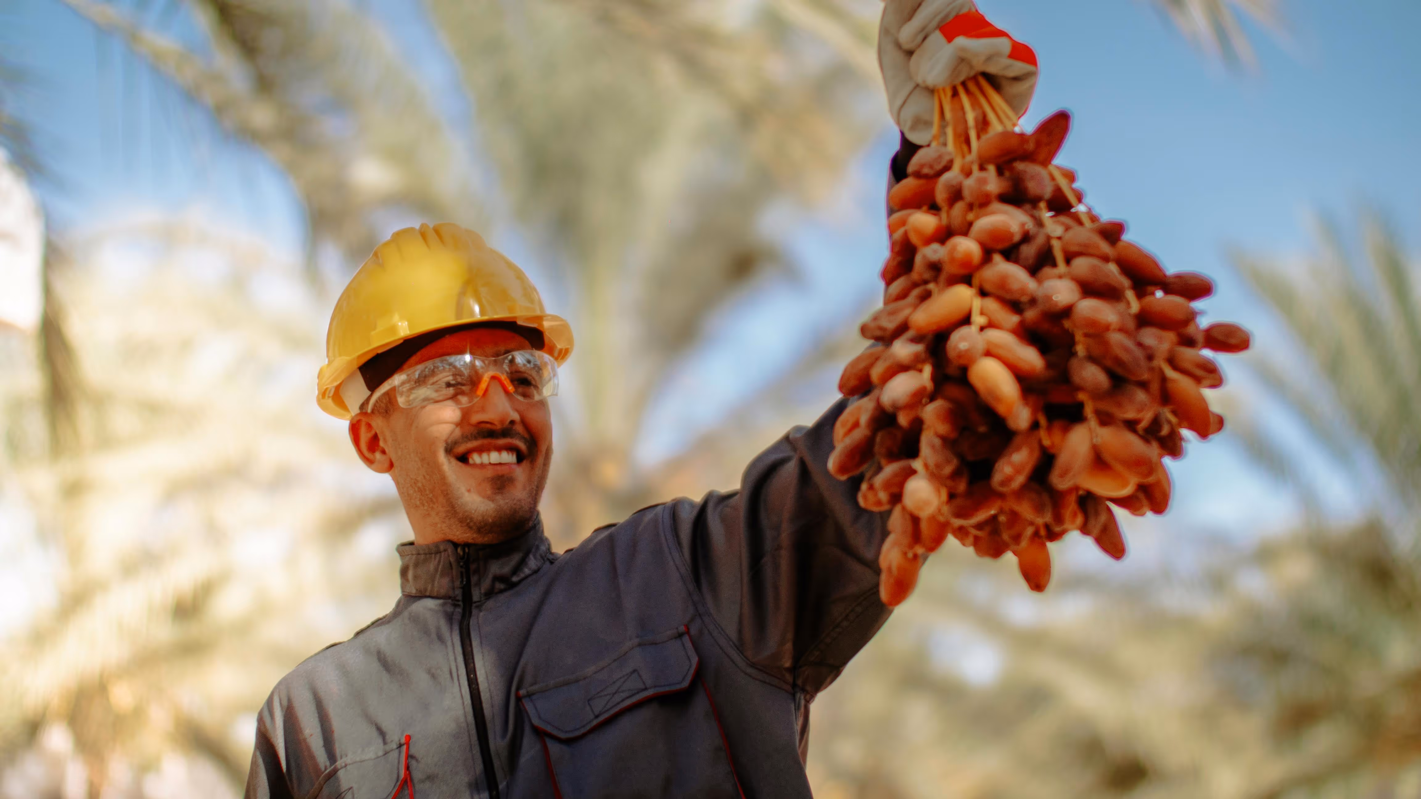 Employer Sponsored Regional