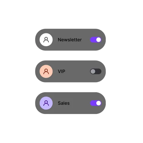 Three rounded toggle switches labeled Newsletter on, VIP off, and Sales on with colored user icons.
