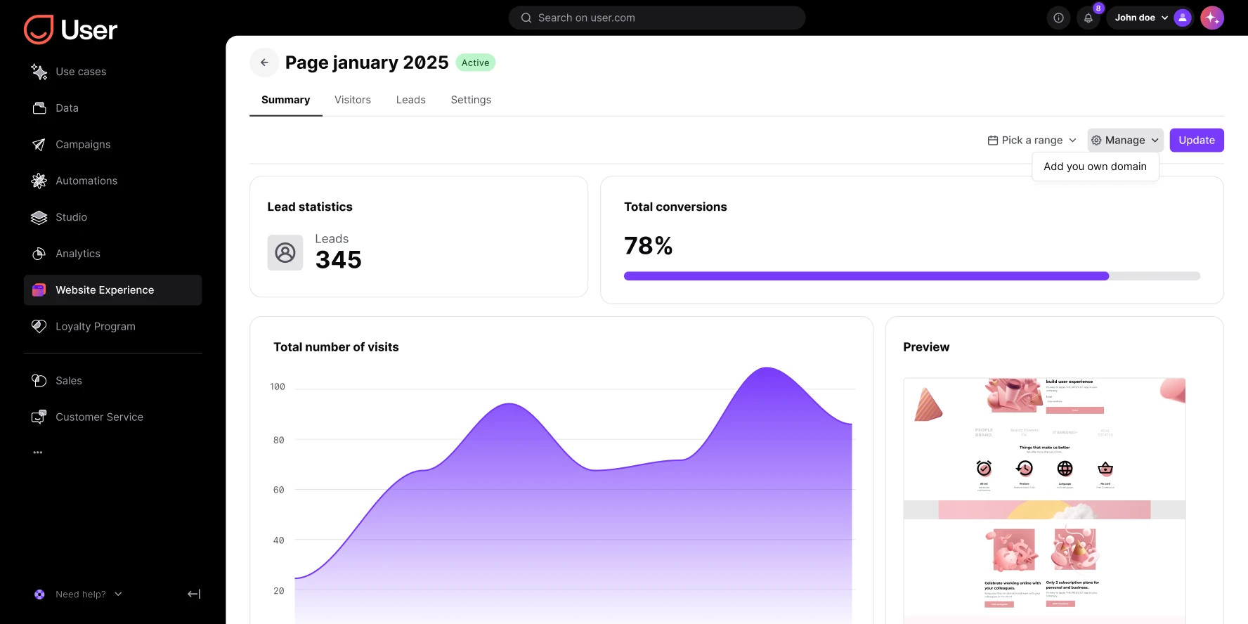 Dashboard showing 345 leads, 78% conversions, visit graph, and website preview for January 2025.