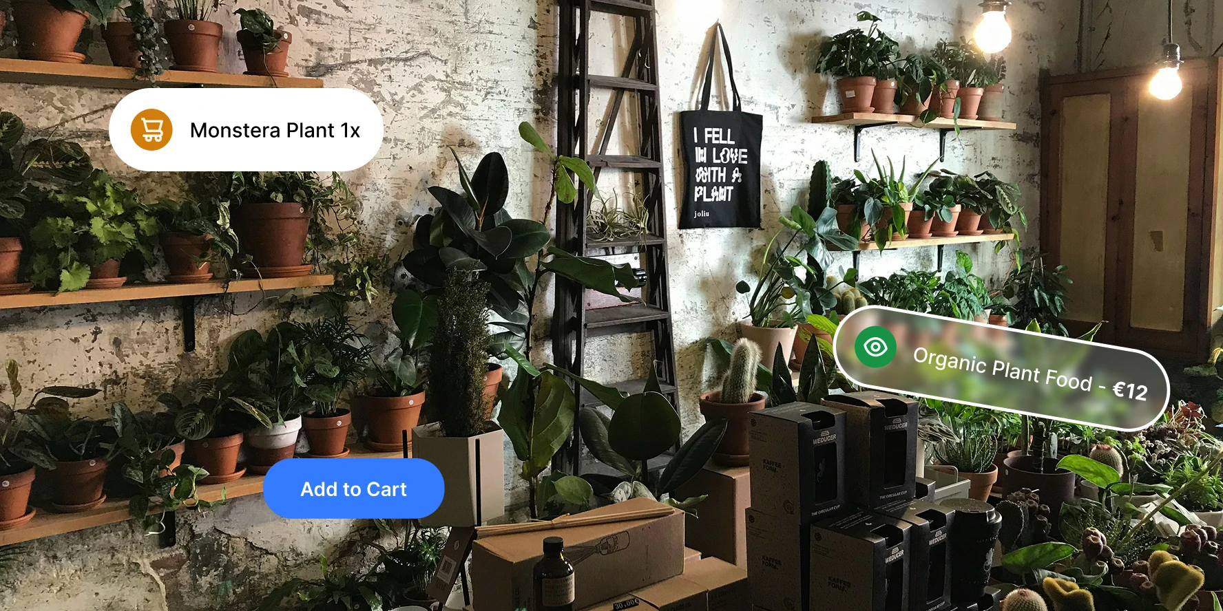 Indoor plant shop with potted plants on shelves, ladder, and product labels for Monstera and organic plant food.