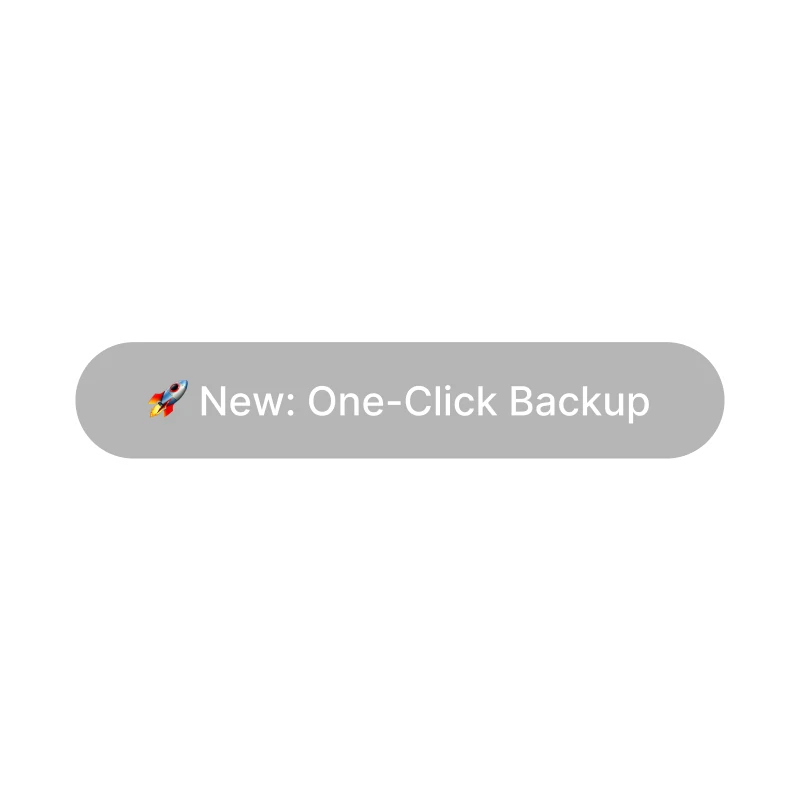 Gray button with rocket icon and text New: One-Click Backup.