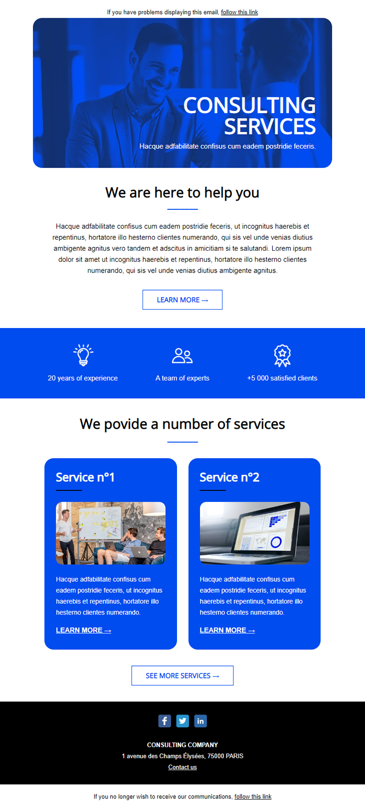 modèle de newsletter Consulting