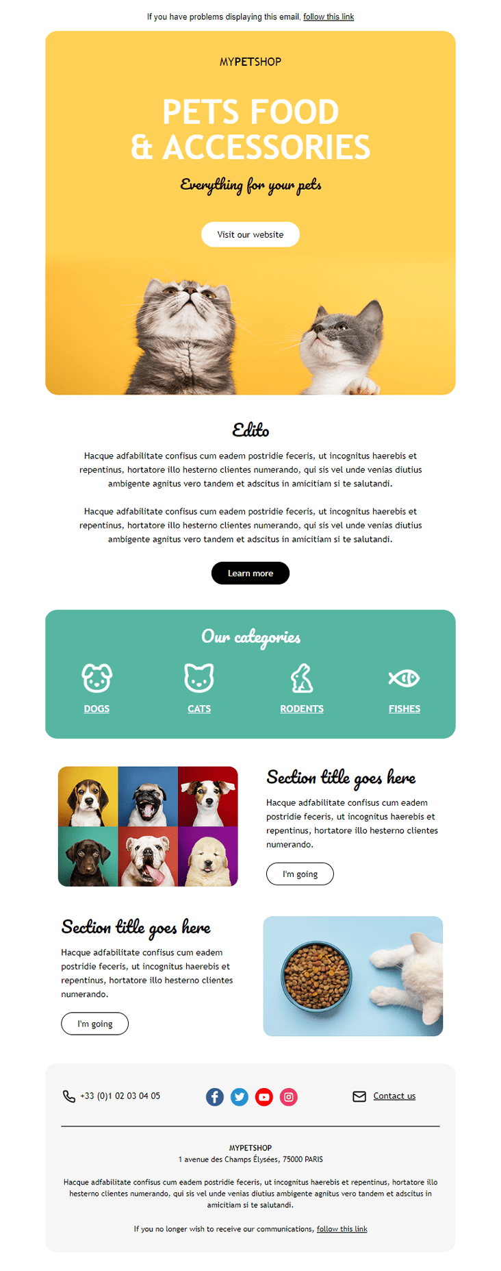 modèle de newsletter Pet Store