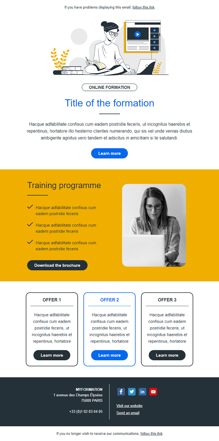 modèle de newsletter « Online Webinar »