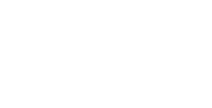 Toy Marine logo with the word 'Toy' in uppercase and 'marine' in cursive below it.