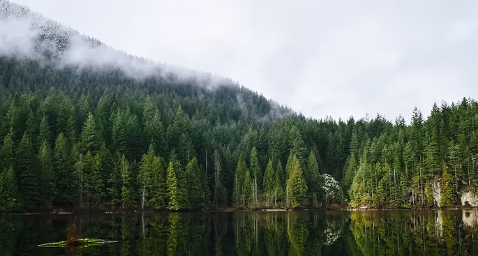 Three polished stones on a light surface, including two green stones and one clear quartz stone.