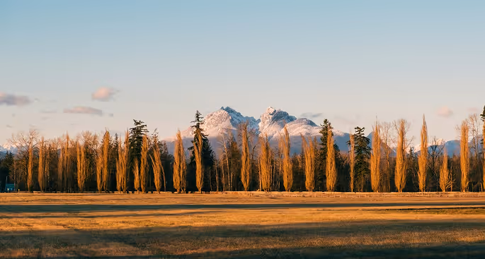 Three polished stones on a light surface: one dark green and purple, one large green, and one small clear crystal.