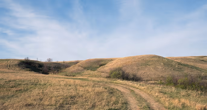 Close-up of three polished stones, two greenish and one clear, on a white surface.