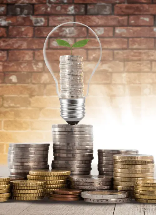 A plant sprouting from a pile of coins inside a lightbulb, symbolizing economic growth or eco-friendly investment.