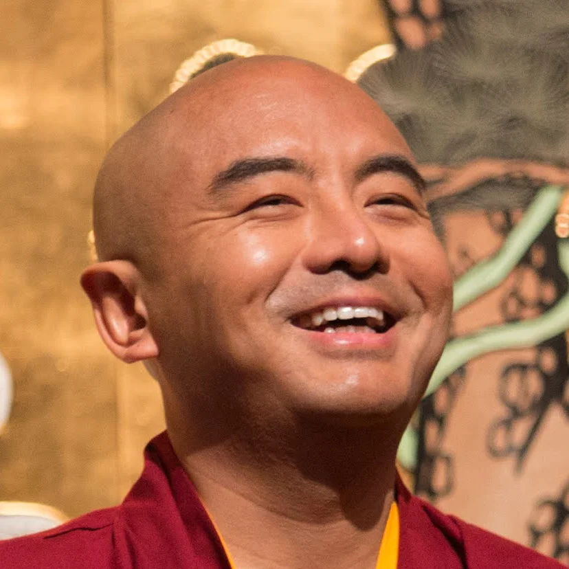 Yongey Mingyur Rinpoche, Portrait