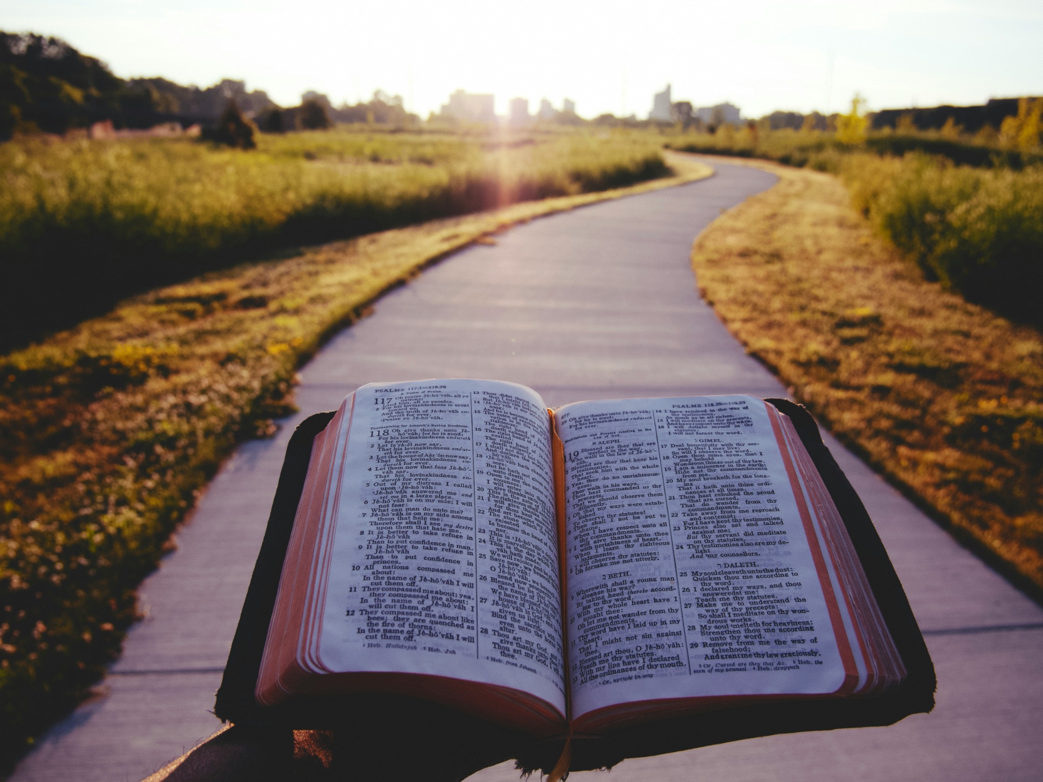Open Bible resting beside a pathway