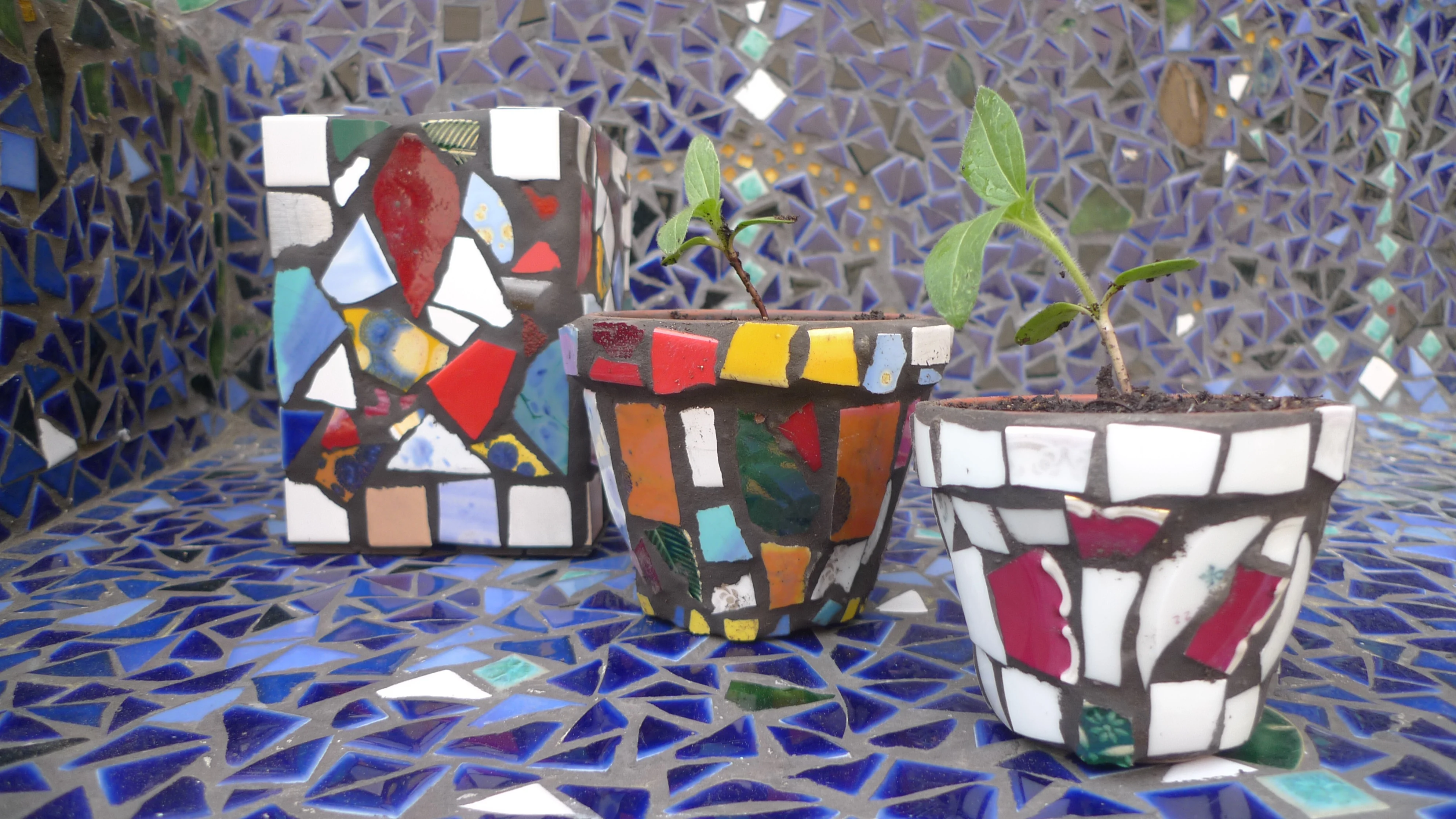 Three mosaic pots with small green plants sitting on a blue mosaic tile surface and background.