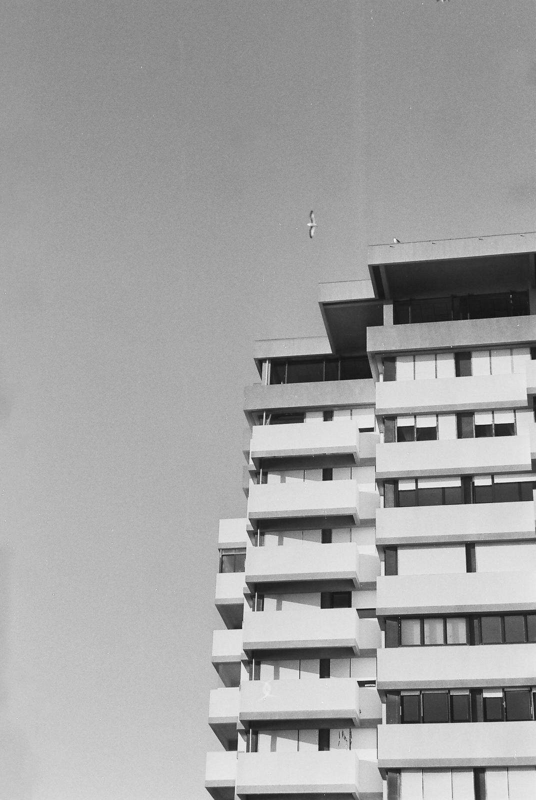 Black and white photo of a multi-story modern building with balconies and large windows under a clear sky with a bird flying.