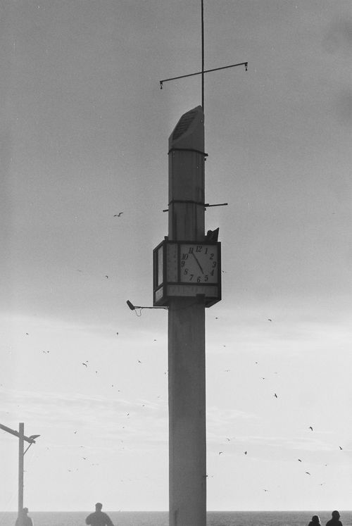 Tall clock tower with four faces showing 10:30, surrounded by flying birds and silhouetted people near a body of water under a cloudy sky.