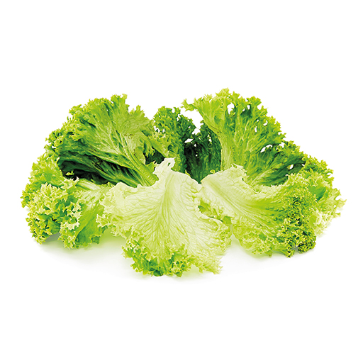 Blattsalate küchenfertig