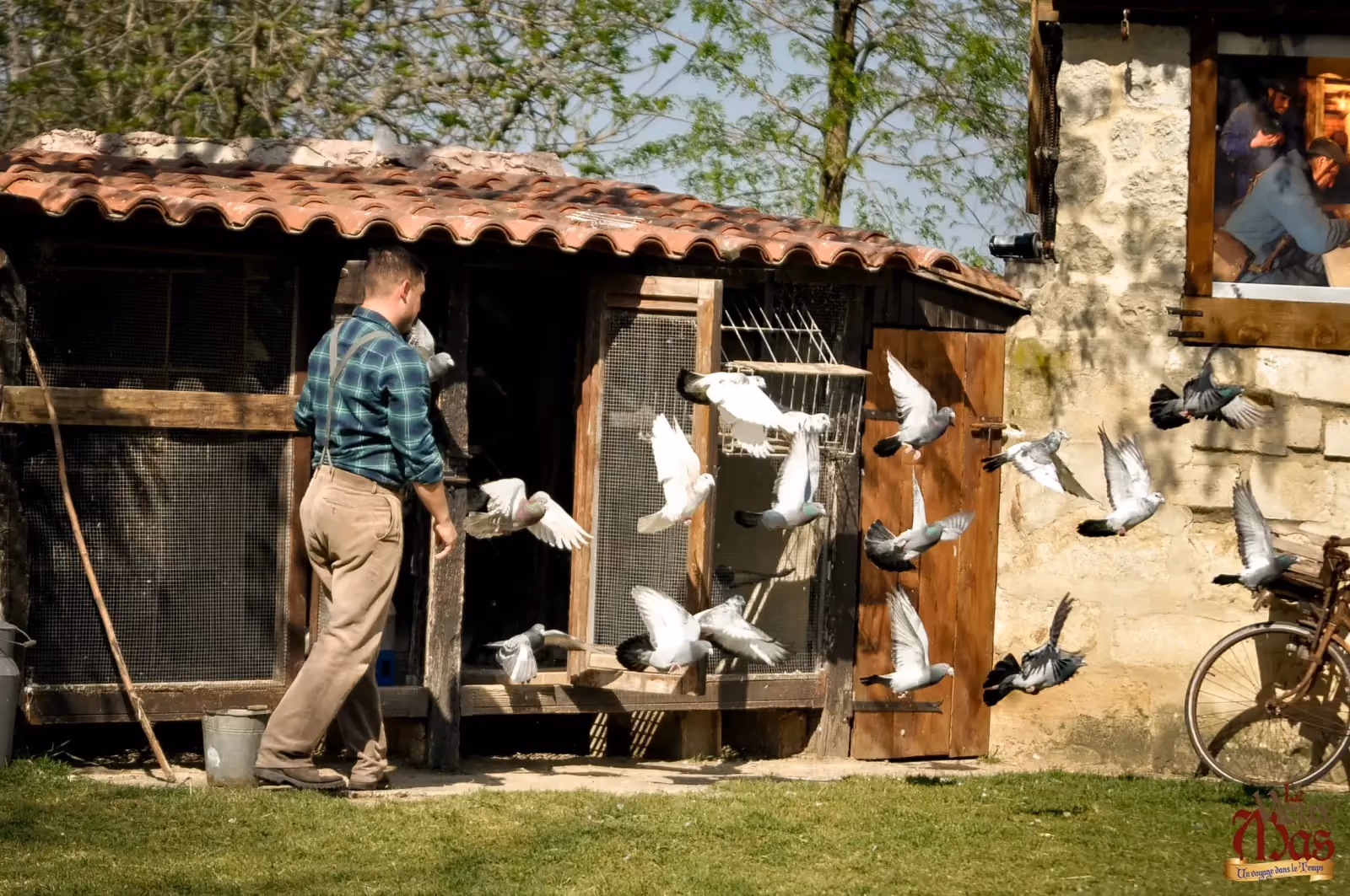 Spectacle « L’envol des pigeons voyageurs » au Vieux Mas — photo 4