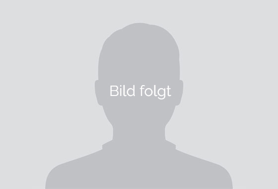 image of diverse group collaboration (for a hr tech)