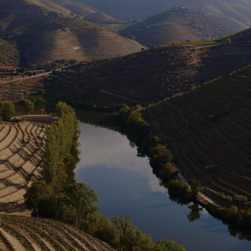 The Douro river