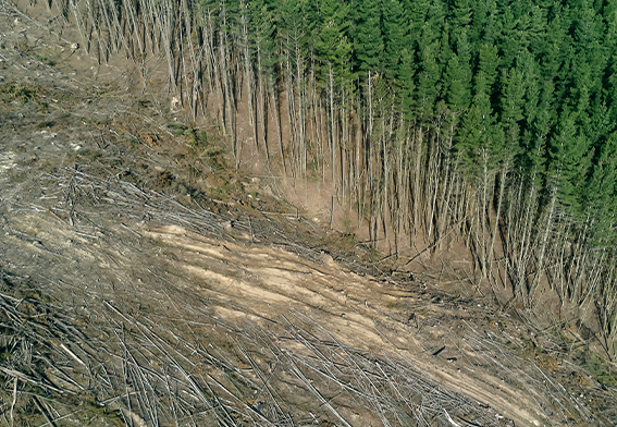 The 2024 State of the Climate Report: Perilous Times on Planet Earth