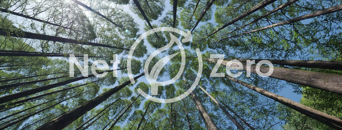 Why the Whole Net Zero Paradigm Needs to be Made Mandatory