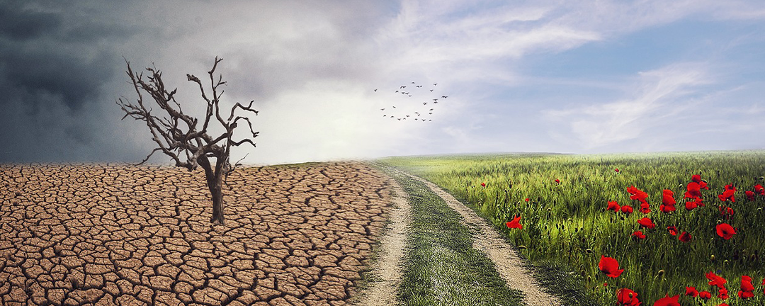 Executive Order: Make Emissions Great Again