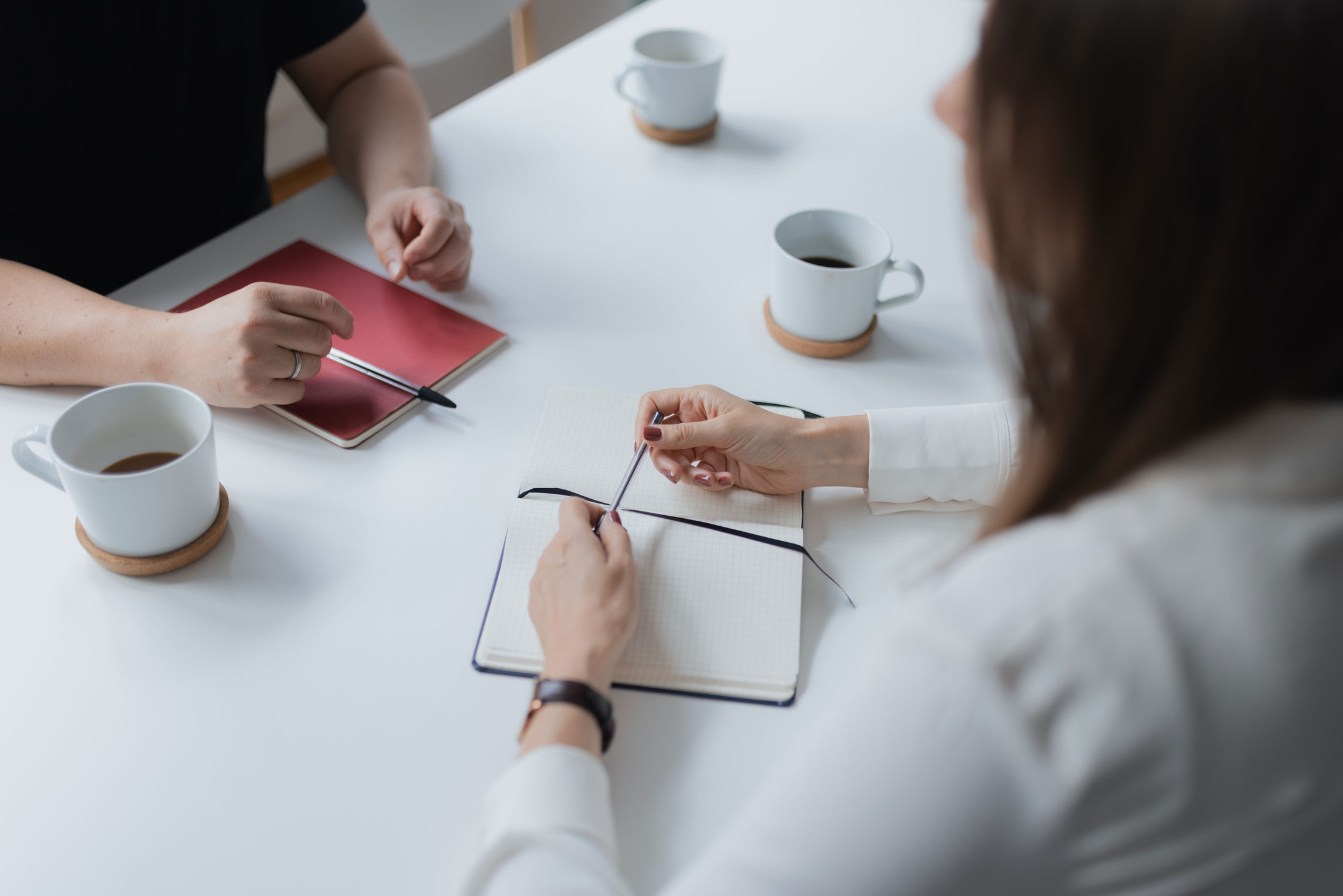 Insights – Leadership Wissen Chili & Change
