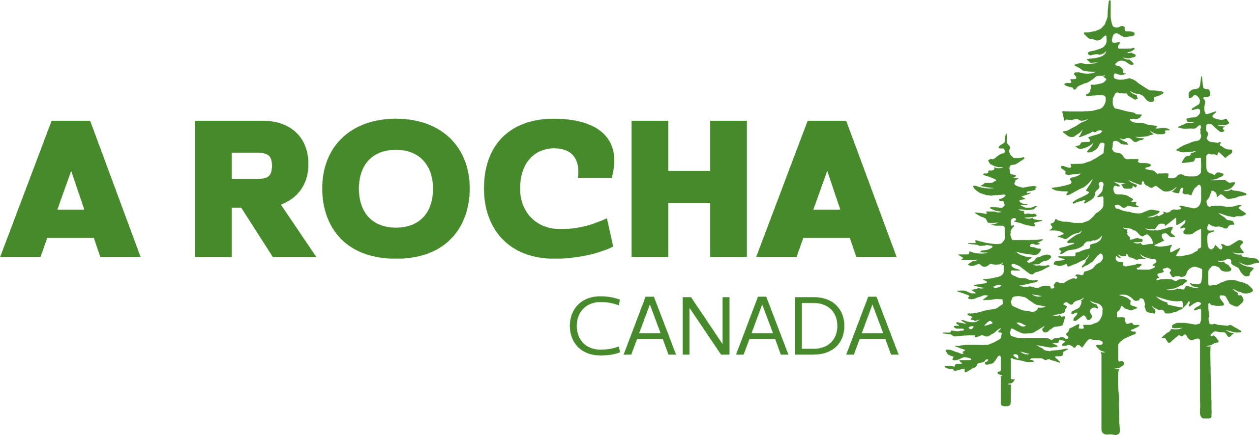 Green text 'AROCHA CANADA' with a cluster of green pine trees to the right.