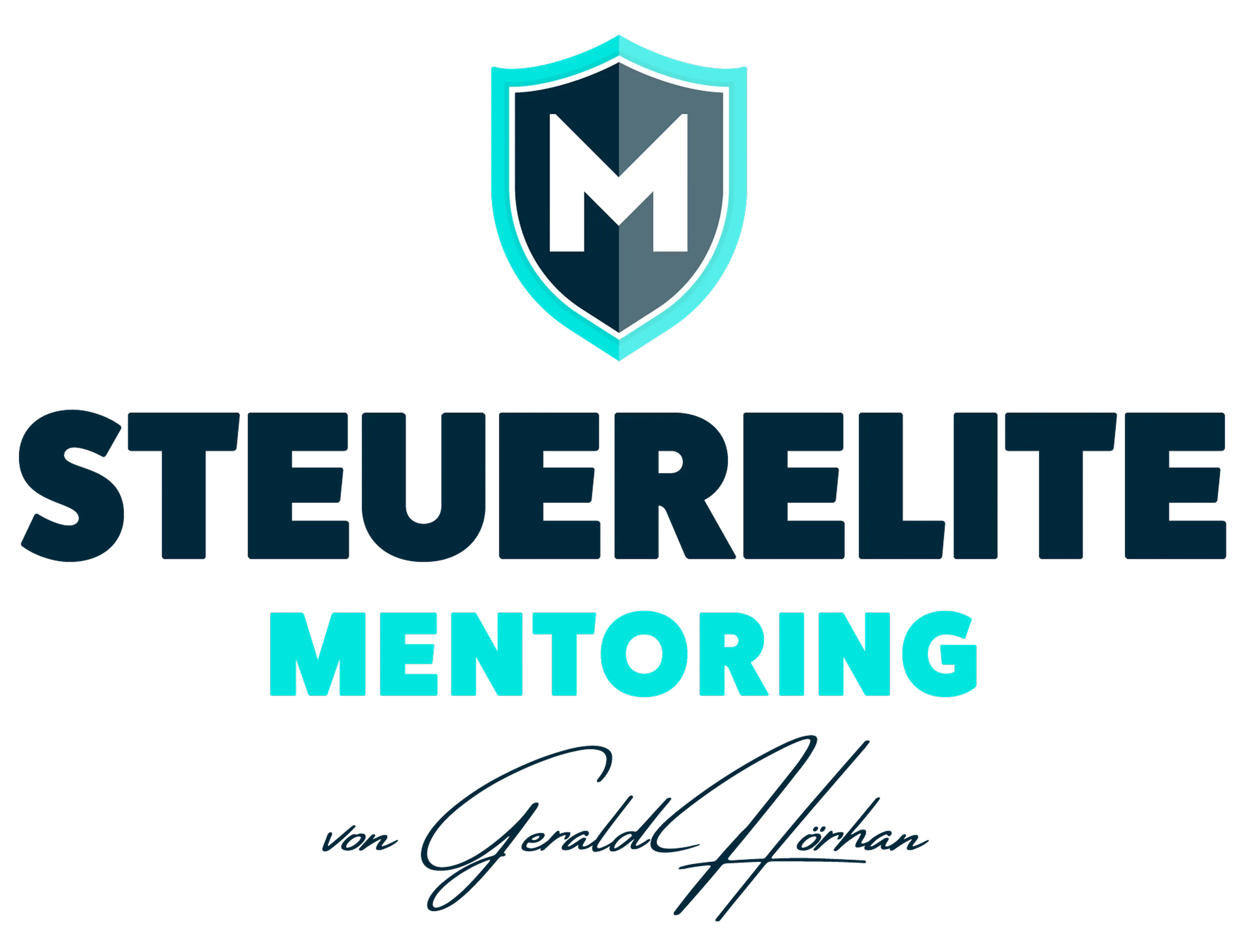 Steuerelite Mentoring