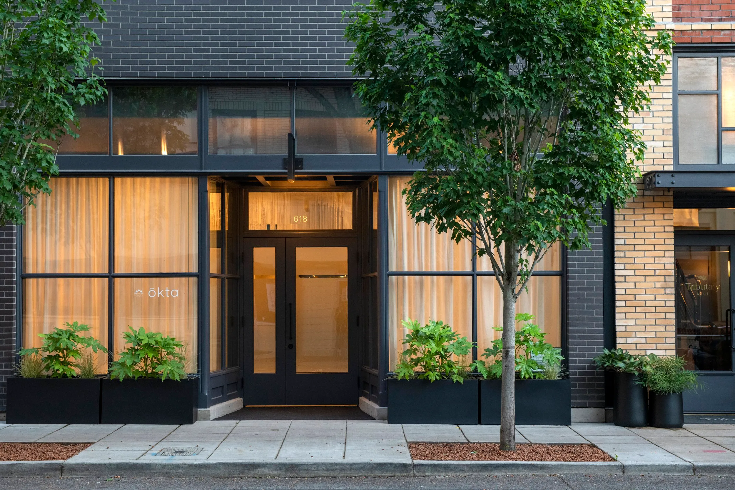 Modern storefront with black-framed glass doors, large windows with beige curtains, potted plants, and a tree on the sidewalk.