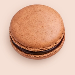 VANIL - Brown macaron 