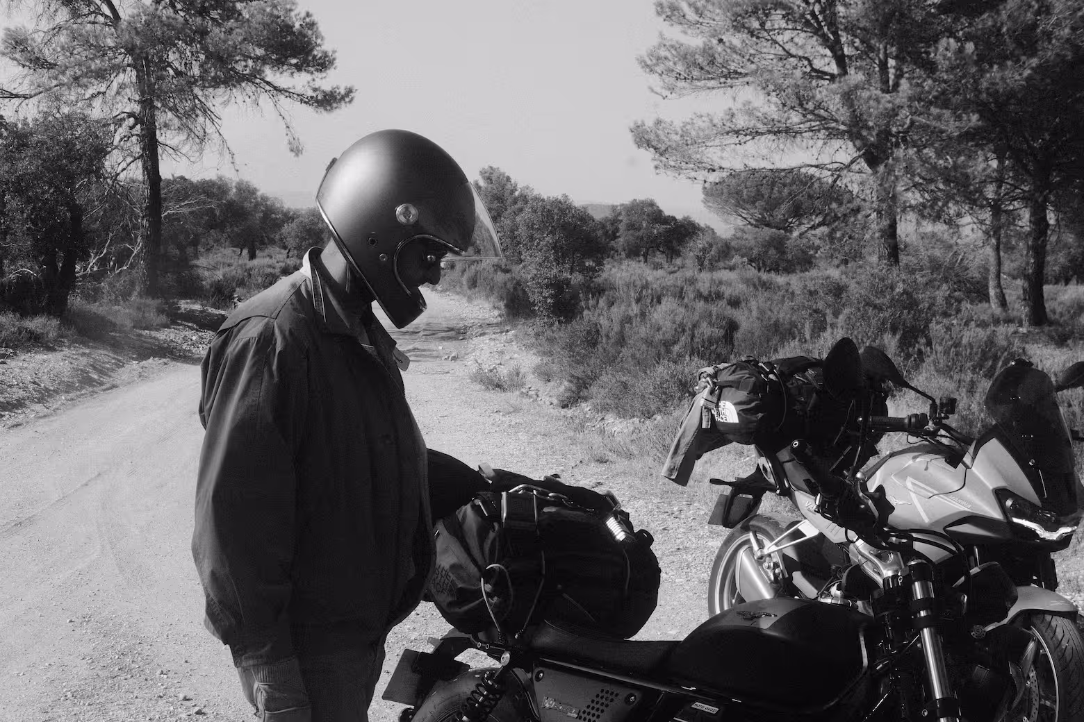 Nos motos disponibles à la location à Nice, laquelle choisir ?