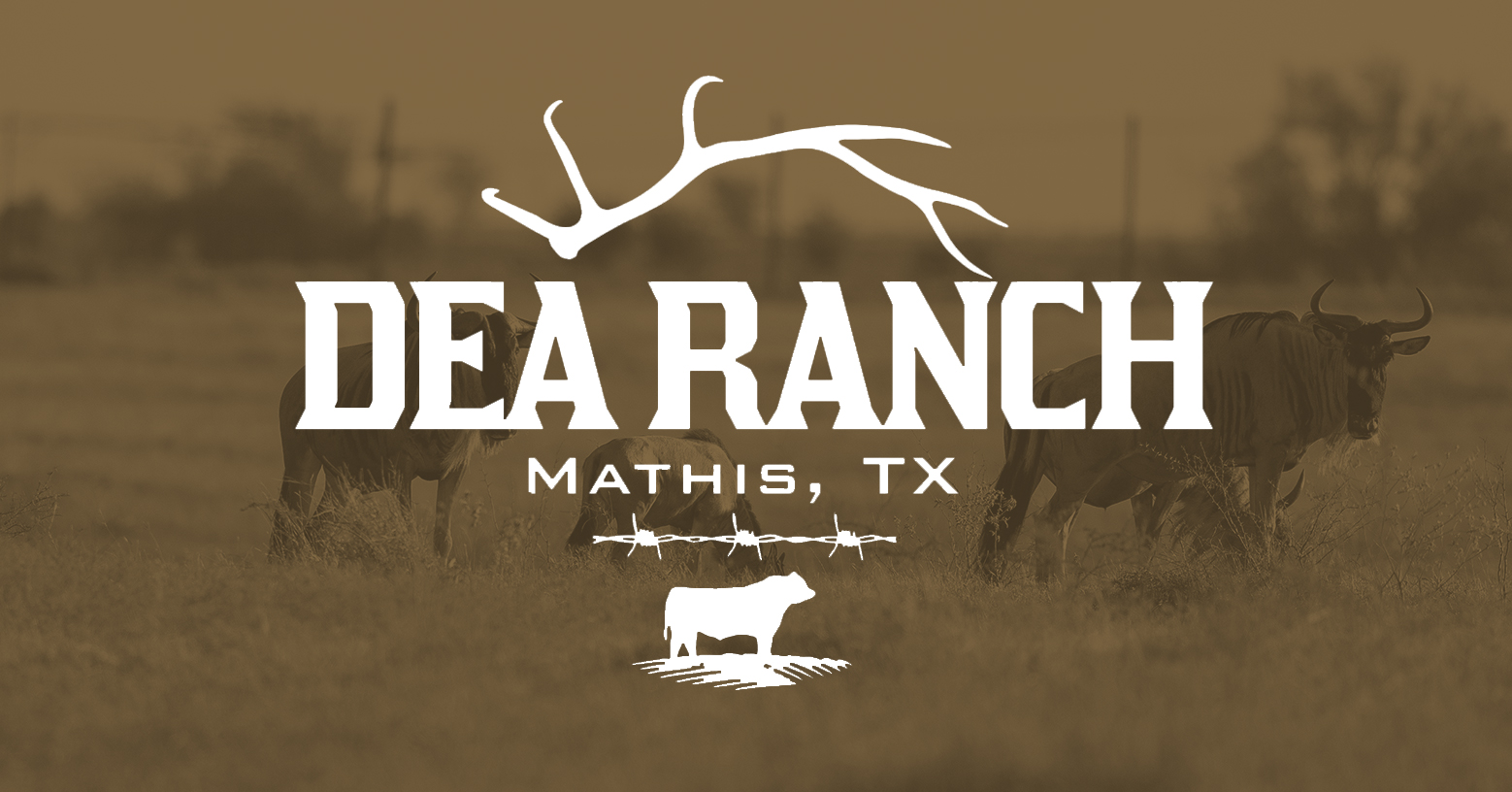 DEA Ranch | South Texas Hunting Lodge & Guided Hunts