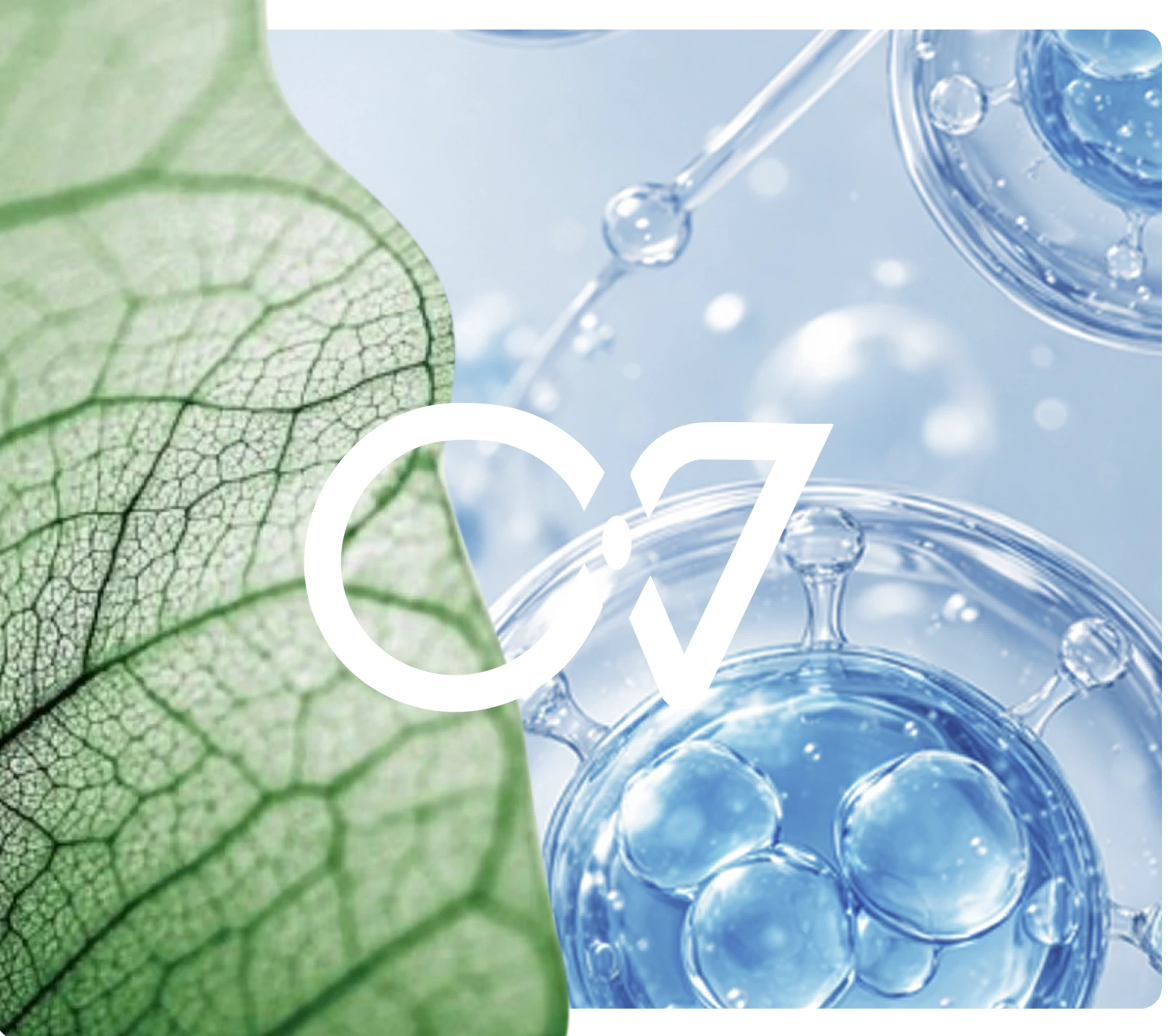 Feuille verte macroscopique à côté de molécules d'eau bleues et transparentes en arrière-plan.