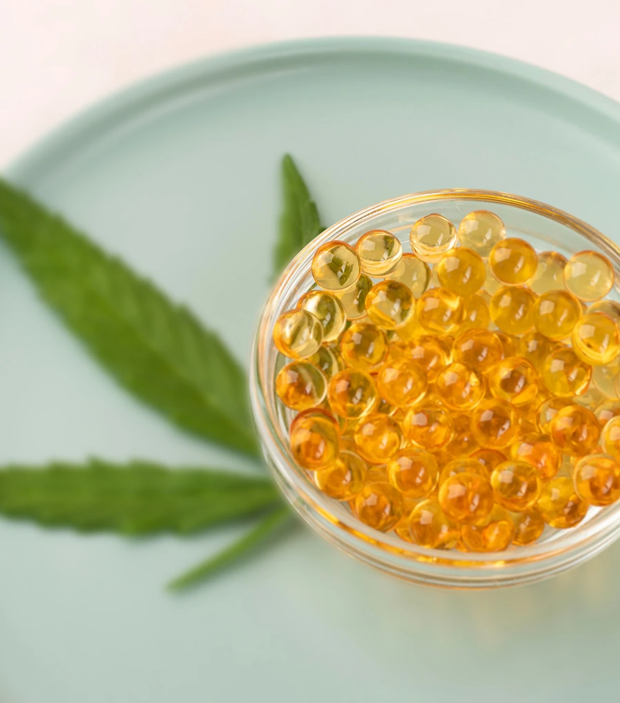 Gélules dans un bol en verre posé sur une feuille de cannabis verte.