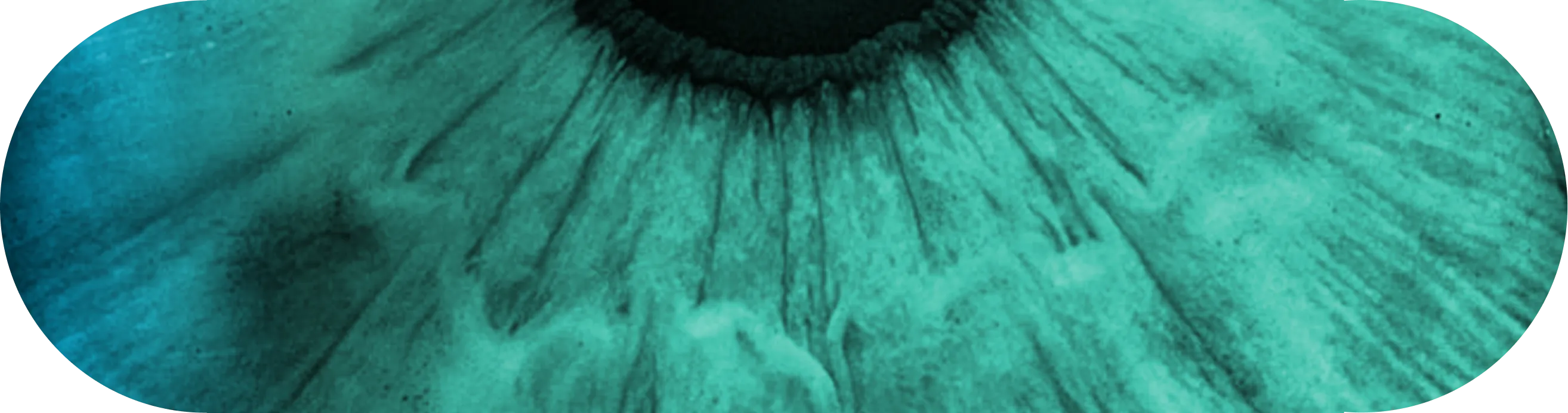 Eye iris with blue green gradient filter