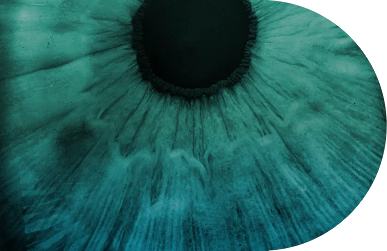 Eye gradient rounded rectangle