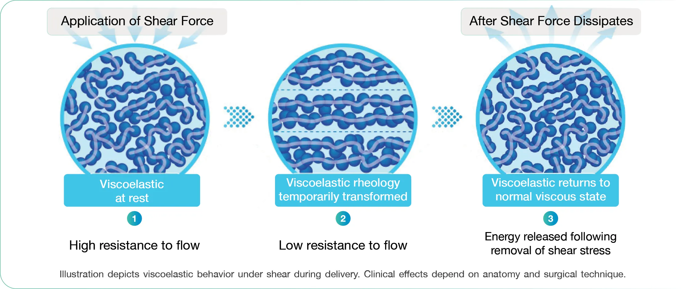 Shear thinning infographic
