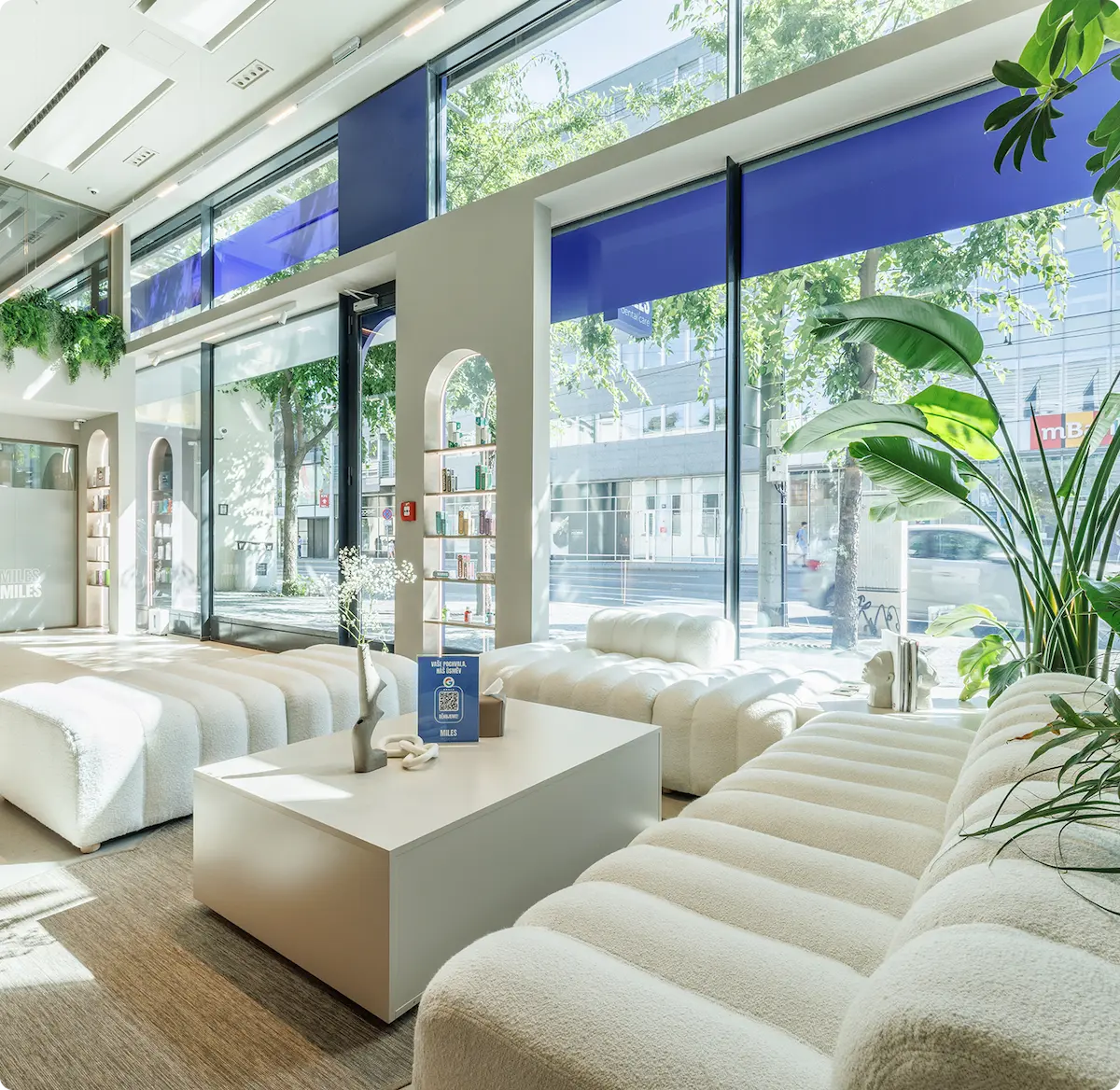 Světle zařízená čekárna MILES na Andělu na Praze 5 s bílými pohodlnými pohovkami, velkými okny a zelenými rostlinami.