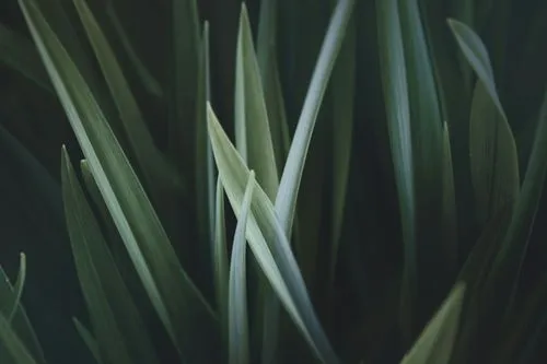 Renforcement du positionnement digital de GREENTECH – Biotechnologies Éthiques