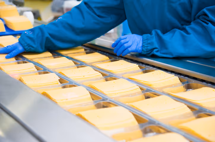 Workers in blue gloves packaging cheese slices on a production line