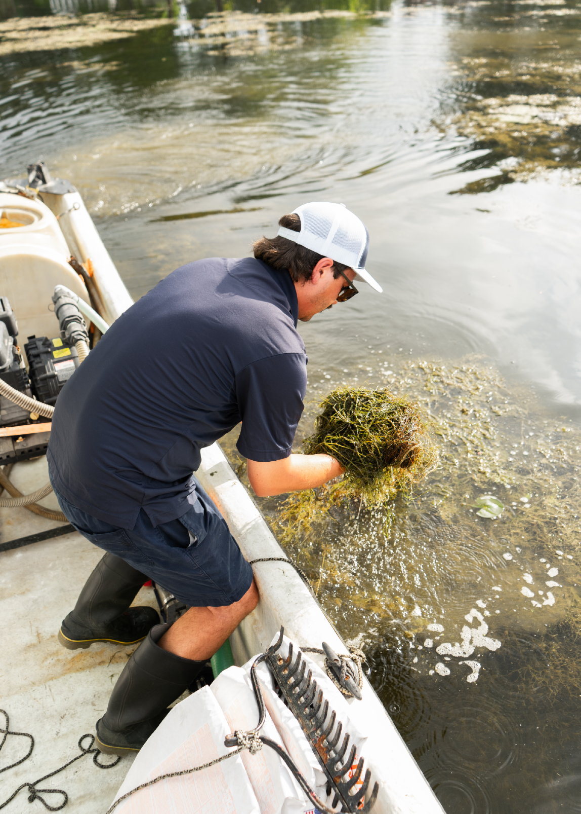Man on a boat removing aquatic vegetation from the water with his hands.
