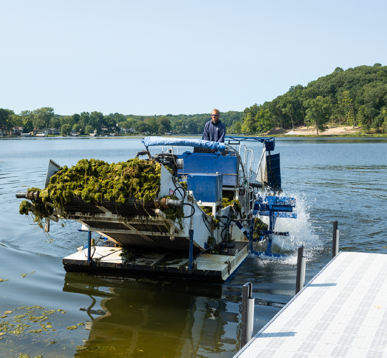 Man operating a blue aquatic weed harvester boat removing vegetation from a lake near a dock.